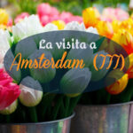 La visita a Amsterdam (III)